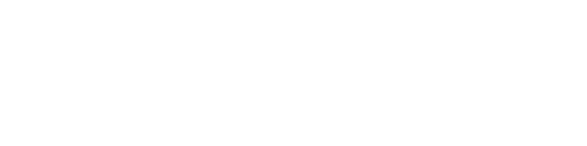 logo qualia